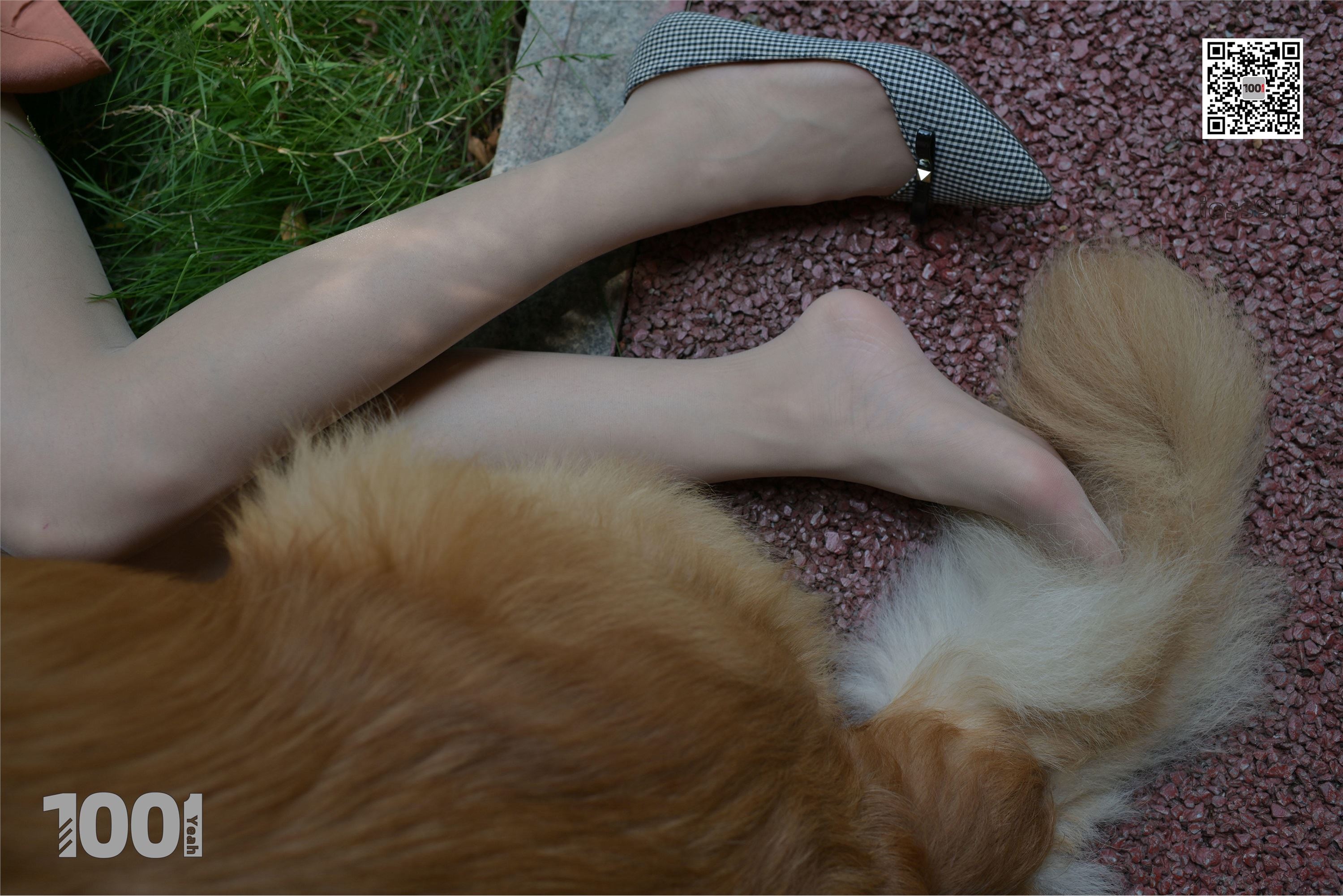 IESS异思趣向 一千零一夜 模特：真真《家有萌宠1》